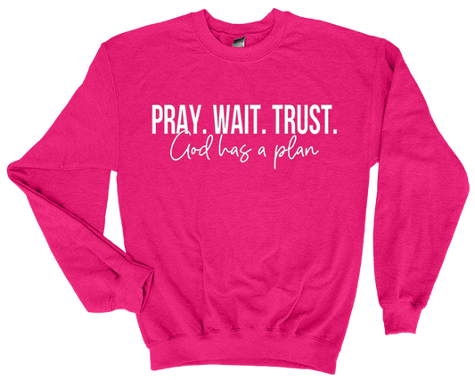 Pray. Wait. Trust. Sweatshirt